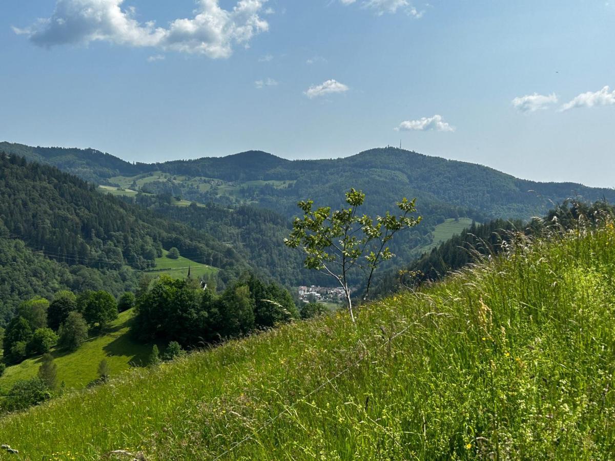 Cella Apartments **** Zell im Wiesenthal Eksteriør bilde